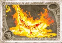 Salamander.jpg
