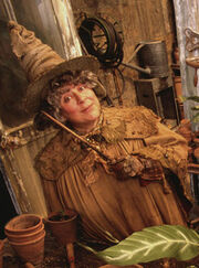 Pomona Sprout.jpg