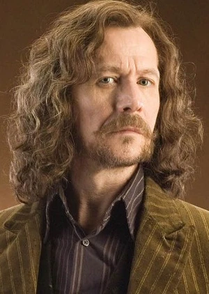 Sirius Svaart | Harry Potter | FANDOM powered by Wikia