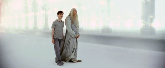 File:Harry and Albus limbo.jpg