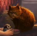 Pattenrond.png
