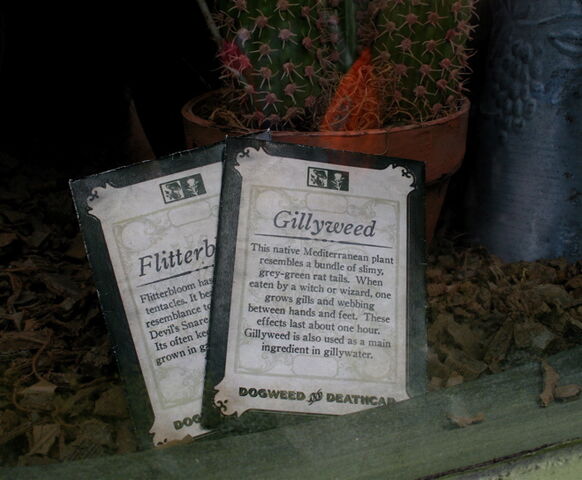 File:Gillyweed Sign.jpg