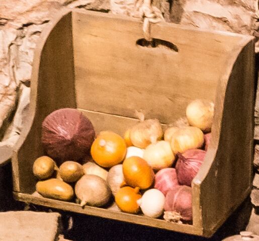 File:Onions.jpg