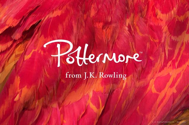 File:Potternew.jpg