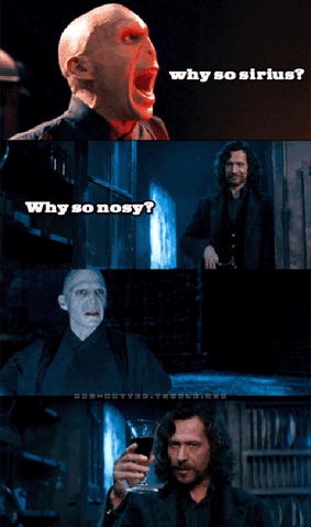 File:Punday-potter-sirius.gif