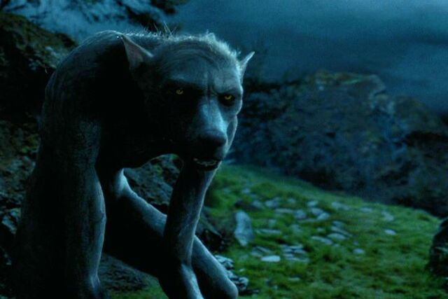 Datei:Lupin Werwolf.jpg