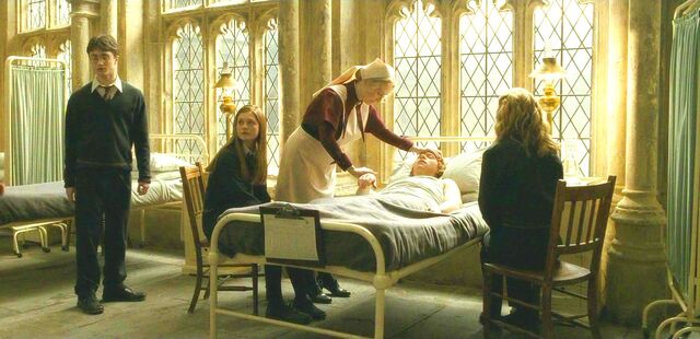 File:Halfblood-02680.jpg