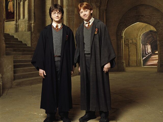 Dosya:Chamber-of-Secrets-harry-potter-the-boy-who-lived-and-much-more-34134892-1024-768.jpg