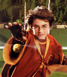 Harry Boccino.jpg