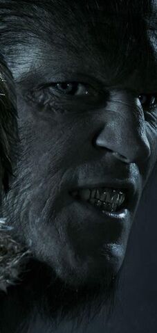 File:Fenrir Greyback HBP.jpg