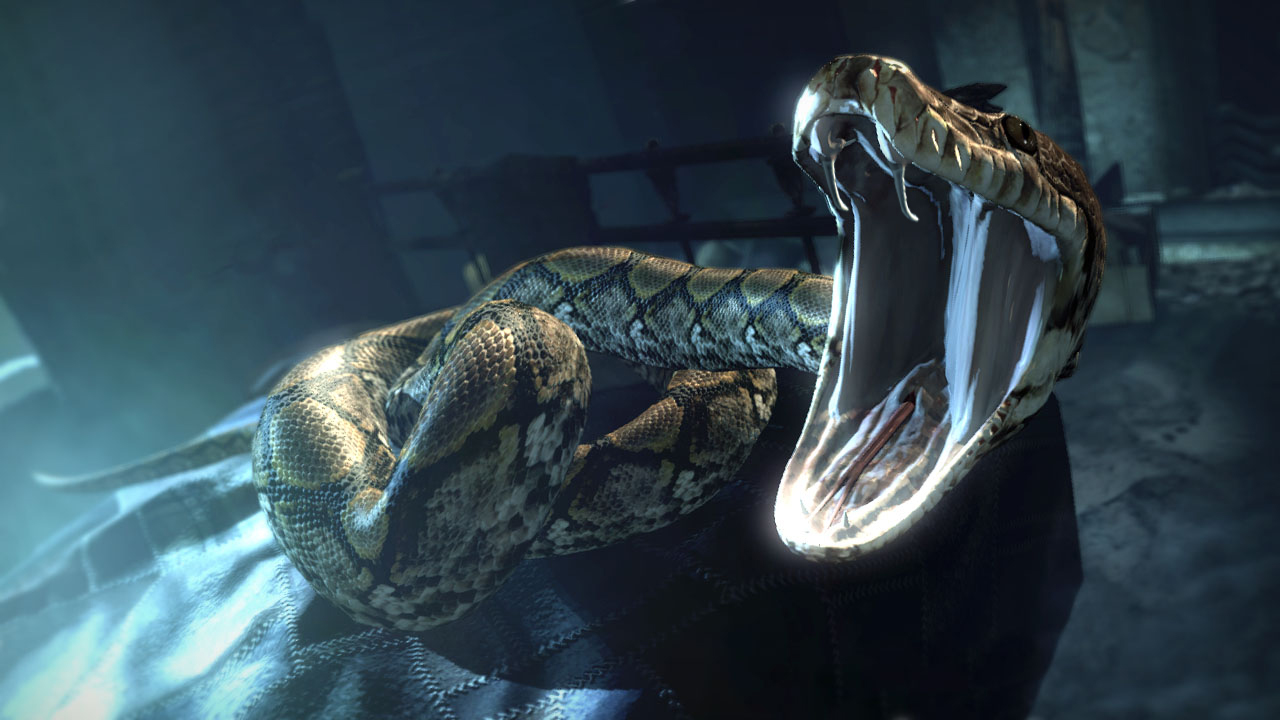 Nagini's venom | Harry Potter Wiki | FANDOM powered by Wikia Nagini's venom | Harry Potter Wiki | FANDOM powered by Wikia