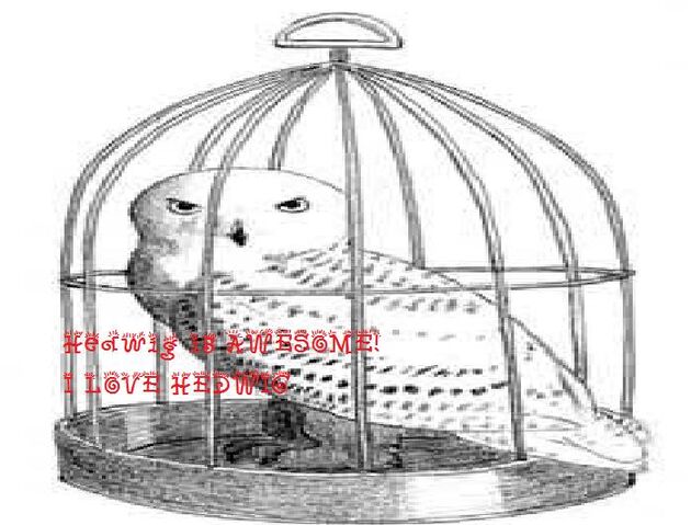 File:Hedwig10.jpg