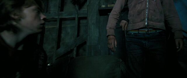File:Siriusblack110.jpg