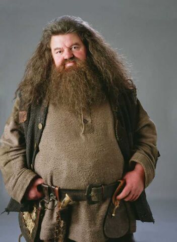 Bestand:Hagrid05 HP1.jpg