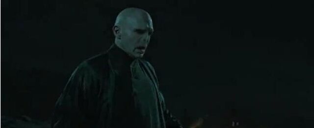 File:HPDH 2 VOLDEMORT battle.jpg