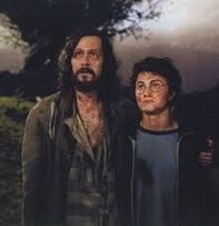 Harry and sirius 2.jpg