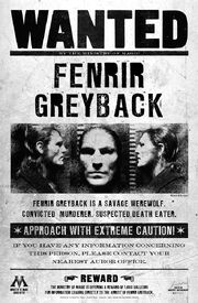 Greyback Fahndungsplakat.jpg