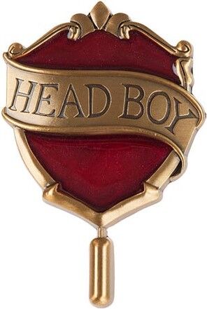 File:HeadBoyPin.jpg