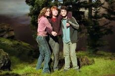 Harrypotter78.jpeg