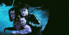 Werewolf attack.gif