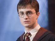Harry-Potter-Wallpaper-harry-james-potter-25502763-1024-768 large.jpg