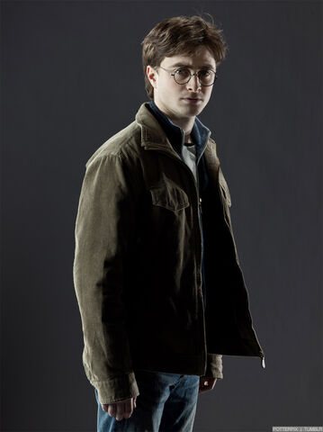 Datei:Harry Info.jpg