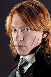 File:Bill Weasley 2.jpg