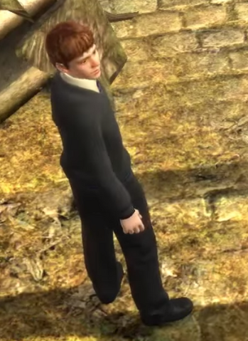 File:Screenshot 2803.png