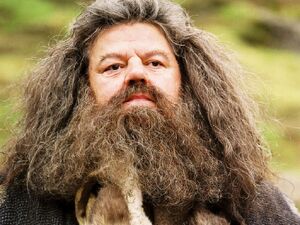 Rubeus-Hagrid-Wallpaper-hogwarts-professors-32796365-1024-768.jpg