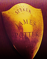 HP1 James Potter's reward.png
