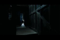 PDVD 026.jpg