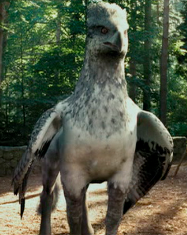 File:Buckbeak.png