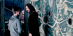Harry&Sirius1