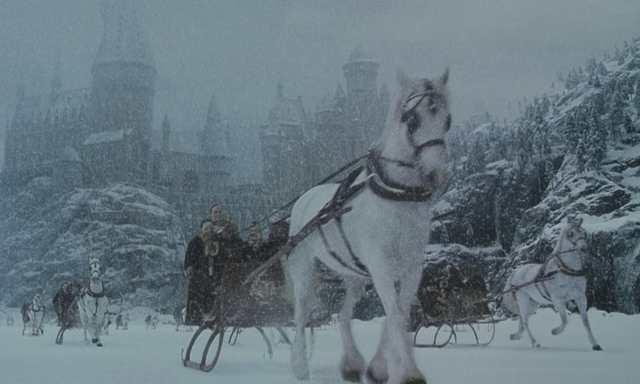 File:Hogwarts horse band.png