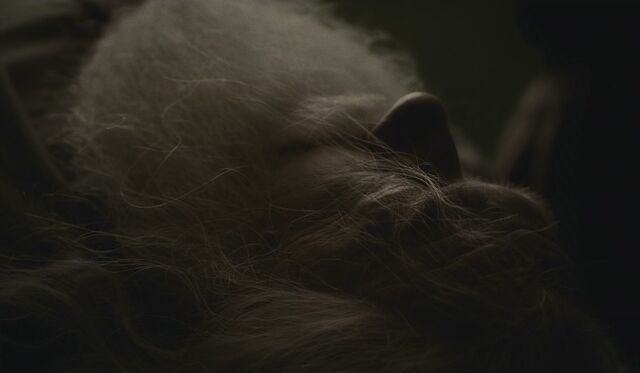 File:Albus Dumbledore dead.jpg