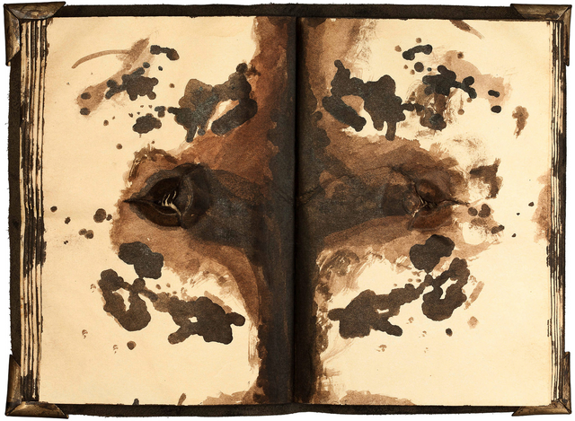 File:Tom riddles diary open.png