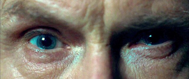 File:Eyesrufus.jpg