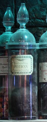 File:ReplenishingPotion.jpg