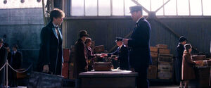 Fantastic-Beasts-And-Where-To-Find-Them-newt-porto.jpg