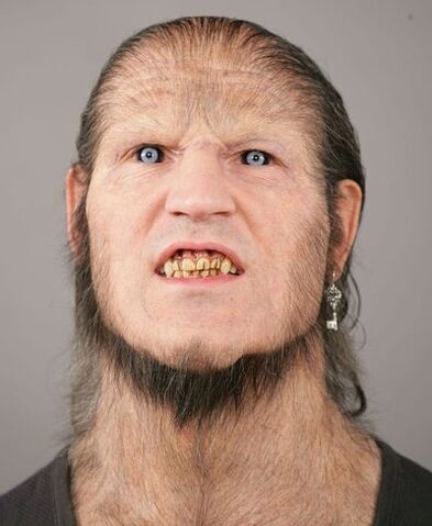 File:GreybackHBP.jpg