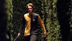 Cedric maze jpg 595