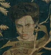 Bellatrix Stammbaum.jpg