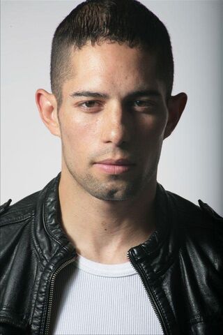 File:Gray Lappin.jpg
