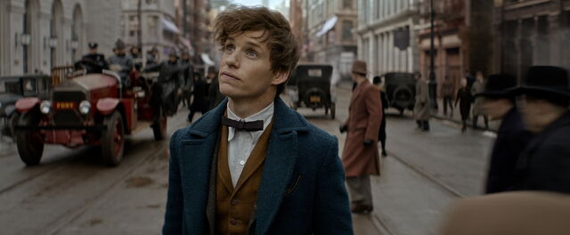 File:Fantastic Beasts Newt 01.jpg