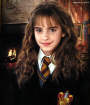 Chamber-of-Secrets-hermione-granger-3357514-530-616.jpg
