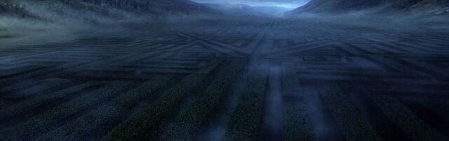 File:HedgeMaze.jpg