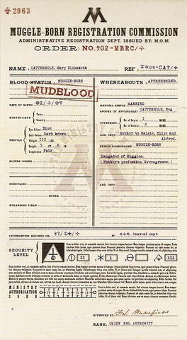 File:MaryCattermoleTrialPaperwork2.png