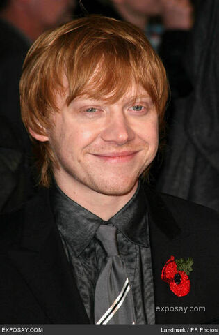 Dosya:1rupert-grint-harry-potter-deathly-hallows-0xKgnx.jpg