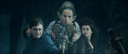 TrailerHP7-12.jpg