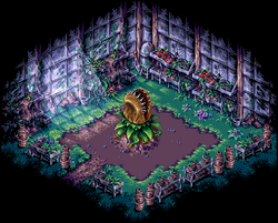 Greenhouse3 CoS-GBA
